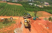 Tháo gỡ khó khăn, ách tắc trong việc tách thửa đất tại Lâm Đồng