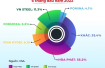 Thị phần ngành thép và tôn mạ biến đổi ra sao trong năm 2022?