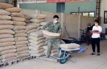 Tiêu thụ vật liệu xây dựng sẽ phục hồi mạnh vào cuối năm