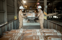 Vicem Hà Tiên sắp chi gần 230 tỷ đồng trả cổ tức năm 2021