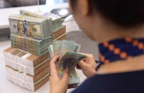 Thắt chặt thị trường không để ảnh hưởng đến các doanh nghiệp làm ăn đàng hoàng