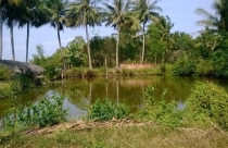 Quy định liên quan đến mục đích sử dụng đất