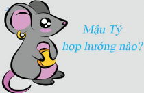 Tuổi Tý nên xây nhà hướng nào?