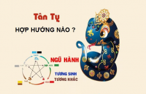Gia chủ tuổi Tỵ chọn hướng xây nhà như thế nào?