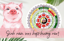 Tuổi Hợi xây nhà hướng nào hợp phong thủy?