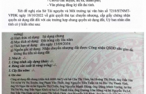 Bà Rịa - Vũng Tàu: Xem xét việc cấp sổ đỏ đối với các trường hợp chung quyền sử dụng đất