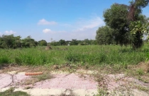 Xác định hạn mức giao đất ở tính tiền sử dụng đất thế nào khi chuyển đất vườn thành đất ở?