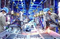 Việt Nam đặt mục tiêu hình thành các tập đoàn, doanh nghiệp đa quốc gia