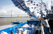 Việt Nam có thể “mang lại ánh sáng” cho nhà đầu tư trong năm 2023