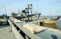 Kinh doanh bết bát, doanh nghiệp xi măng kiến nghị lùi thời hạn tăng thuế xuất khẩu