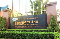 Mua hơn 30 triệu cổ phiếu TTF, người vừa trở thành cổ đông lớn của Gỗ Trường Thành là ai?