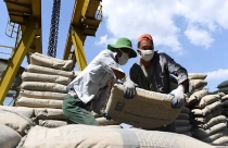 11 doanh nghiệp xi măng Việt Nam bị áp thuế tại Philippines