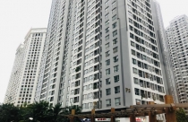 Thị trường căn hộ tiếp đà tăng giá trong năm 2023