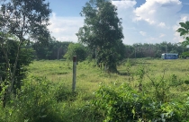 Quy định tách thửa khi muốn chuyển mục đích sử dụng một phần đất