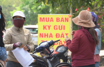 Môi giới bất động sản: Đón sóng, rồi vất vả vượt sóng