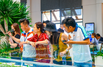 Bất động sản 2022: Một năm lạ lùng