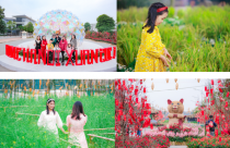 Du xuân trẩy hội tại đường hoa Home Hanoi Xuan 2023