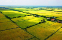 Chính sách bất động sản nổi bật có hiệu lực từ tháng 02/2023