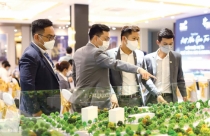 Khẩu vị người mua nhà đã thay đổi