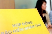 Bị "ép" mua bảo hiểm khi vay tiền mua đất, người dân cần làm gì?