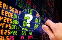 SSI Research nhận định gì về cổ phiếu Hoa Sen, Nam Kim?