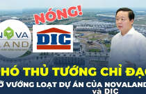 3 nhóm nguyên tắc để xử lý vướng mắc tại Aqua City, NovaWorld Phan Thiết, Khu đô thị sinh thái Đại Phước của Novaland và DIC