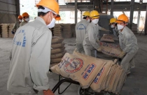 Bình quân tiêu thụ xi măng của người Việt chỉ 600 - 650kg/năm dù sản xuất thuộc top đầu thế giới