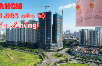 Chia 6 nhóm để cấp hơn 81.000 sổ hồng căn hộ TP.HCM