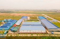 Bắc Giang thành lập cụm công nghiệp Hương Sơn 2 trị giá gần 700 tỉ đồng