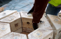 Nhà ở trong tương lai có thể làm từ... nấm