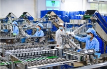 Xuất nhập khẩu của doanh nghiệp FDI đạt hơn 180 tỷ USD