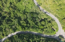 Lãnh đạo Lâm Đồng làm việc tỉnh Đồng Nai bàn về dự án cao tốc Tân Phú – Bảo Lộc