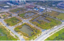 Gần 470 lô đất tại Ninh Bình được đấu giá trong tháng 8, giá khởi điểm thấp nhất 3,5 triệu đồng/m2