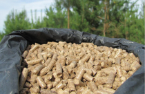 Loại vật liệu chỉ được làm từ mùn cưa, dăm gỗ… nhưng có giá trị lên tới 31 tỷ USD, Việt Nam là nguồn cung lớn thứ 2 thế giới