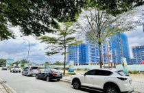 Sức hút thị trường căn hộ cho thuê tại TP.Thủ Đức