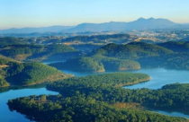 Thuê đất làm dự án du lịch, doanh nghiệp để mất 1.200 m2 rừng