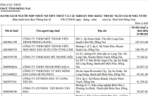 115 doanh nghiệp ở Đồng Nai bị bêu tên vì nợ thuế