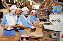 Đồng Nai sắp có trung tâm sản xuất và triển lãm đồ gỗ liên vùng quy mô 1.000 ha