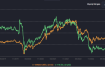 VnDirect: Đây là thời điểm tốt để các nhà đầu tư tích lũy cổ phiếu cho năm 2024