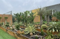 Căn nhà của một kiến trúc sư sẽ thiết kế độc đáo như thế nào?