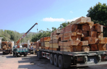 Tạm ngừng kinh doanh gỗ rừng tự nhiên từ Lào và Campuchia