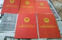 Tổng rà soát Giấy chứng nhận đã ký nhưng chưa trao cho người sử dụng đất