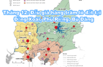 Đấu giá hàng trăm lô đất tại Đồng Xoài, Phú Riềng, Bù Đăng