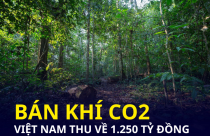 Bán khí CO2, 6 tỉnh Bắc Trung Bộ chia nhau hơn nghìn tỷ