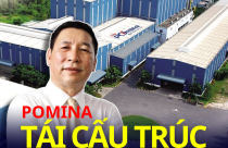 Từ việc bán 20% vốn cho nhà đầu tư Nhật tới người nhà Chủ tịch đua nhau thoái vốn, việc kinh doanh của Pomina hiện ra sao?