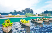 Đón Tết 3 miền ngay tại Thủ đô với đường hoa Home Hanoi Xuan 2024