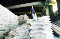 CPI tháng 01/2024 tăng 0,31%