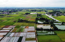 Hai nhà đầu tư cạnh tranh tại dự án khu dân cư hơn 300 tỷ ở Thanh Hoá