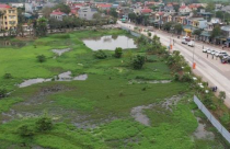 Một huyện tại Thanh Hoá sắp đấu giá hàng trăm lô đất, dự thu gần 500 tỷ đồng