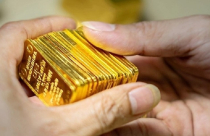 Kết quả đấu thầu vàng 14/5: Đấu thầu thành công 8.100 lượng vàng miếng SJC